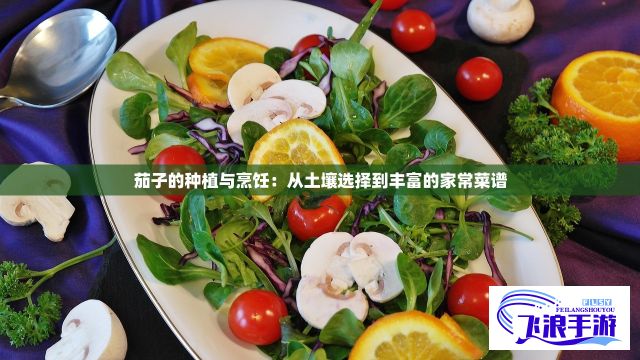 探索精品乱码一区二区三区四区：从独特视角诠释混乱的艺术美学