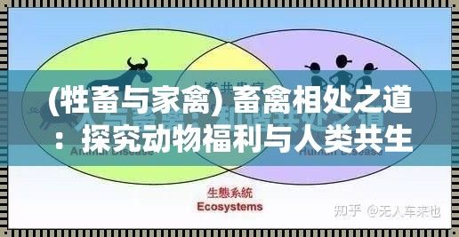 (牲畜与家禽) 畜禽相处之道：探究动物福利与人类共生的可持续策略 — 如何实现和谐共处？