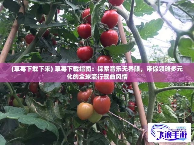 (草莓下载下来) 草莓下载指南：探索音乐无界限，带你领略多元化的全球流行歌曲风情