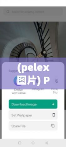 (pelex图片) Pexels图库：如何高效运用商业免费图片，提升内容营销效果