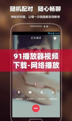 91播放器视频下载-网络播放器v0.9.6官方版