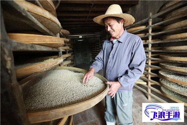 品味丰富层次，呈现醇美生活-为你的味蕾带来独特享受，精选红酒佳酿