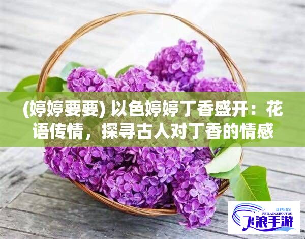 (婷婷要要) 以色婷婷丁香盛开：花语传情，探寻古人对丁香的情感寓意与文化价值