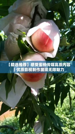 【精选推荐】感受蜜桃传媒高质内容｜优质影视制作展现无限魅力