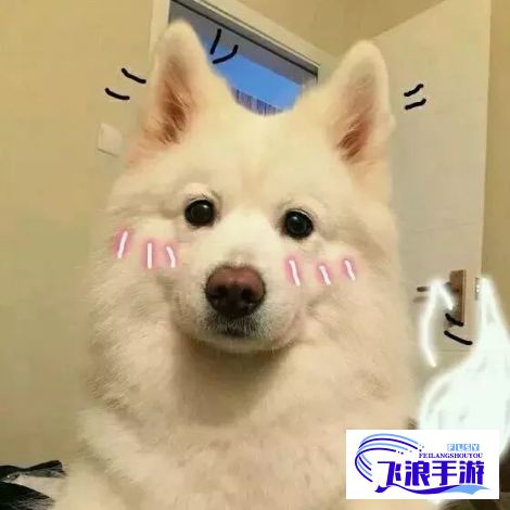 (人与犬z00sk0o) Z0OZO0人善之交人与禽：探寻和谐共生的可能性，深度剖析人类与禽类共存的智慧和解决方案