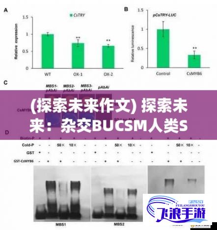 (探索未来作文) 探索未来：杂交BUCSM人类SSBA技术的实用前景及潜在影响分析