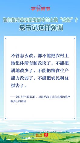 探究y31成色好的机构体系：以真实性、品质和使用效果三大要点解析其卓越品质